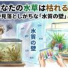 なぜあなたの水草は枯れるのか？初心者が見落としがちな「水質の壁」と解決法
