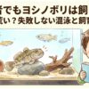 初心者でもヨシノボリは飼える？気性が荒い？失敗しない混泳と飼育のコツ