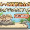 ボウズハゼ飼育完全ガイド！初心者でも成功する方法