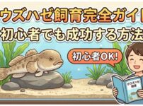ボウズハゼ飼育完全ガイド！初心者でも成功する方法