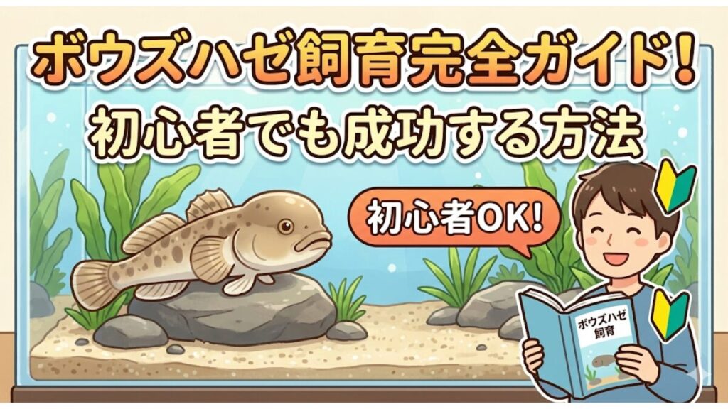 ボウズハゼ飼育完全ガイド！初心者でも成功する方法