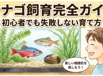 タナゴ飼育完全ガイド｜初心者でも失敗しない育て方