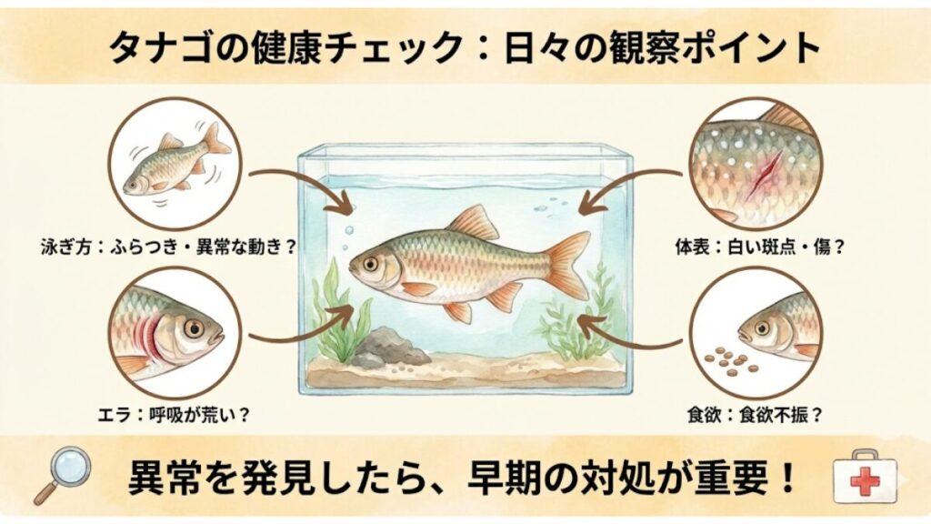 健康チェックの方法