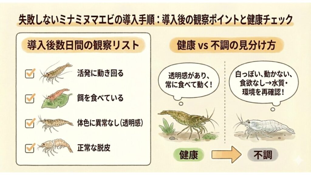 導入後の観察ポイントと健康チェック