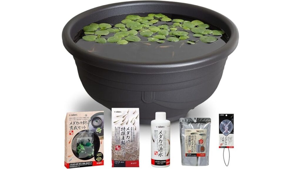 【屋外飼育】スドー メダカ 飼育セット