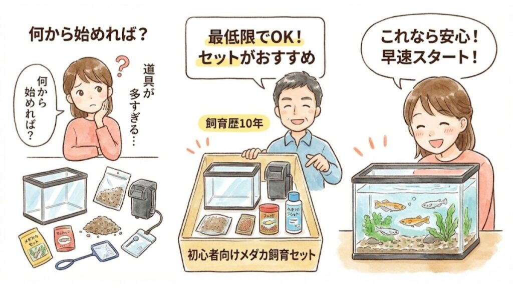 水槽サイズの選び方｜何匹飼うかで決まる最適な大きさ