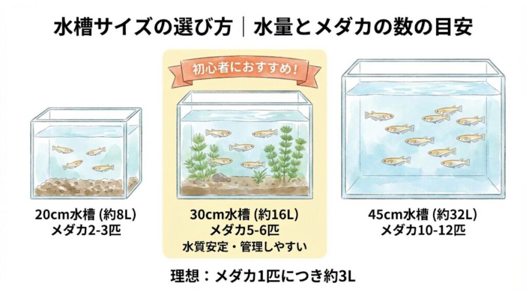 フィルターの種類と特徴｜メダカに優しい濾過システムとは