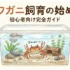 サワガニ飼育の始め方｜初心者向け完全ガイド